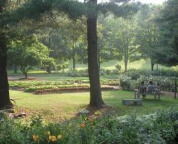 Garden seen through the trees in the morning dew