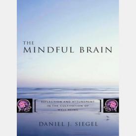 Omega Institute - Best Books on Mindfulness - The Mindful Brain