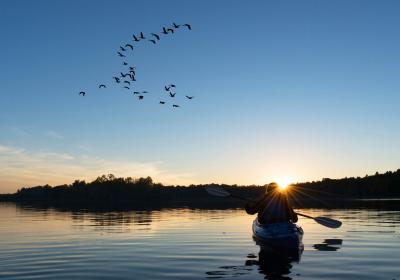 Kayaker on the lake at dawn