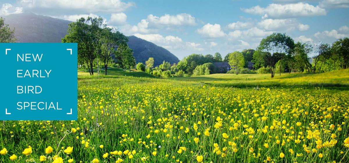 New Early Bird Special. Field of flowers