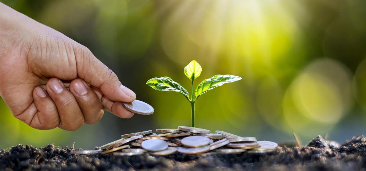 Hand planting a coin, with a plant growing