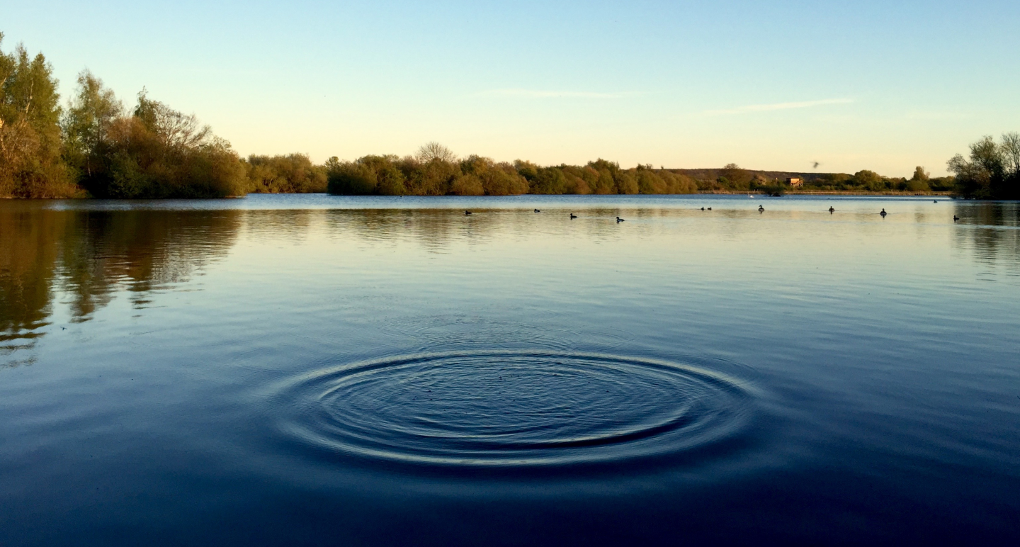 Ripples on lake, ducks in background