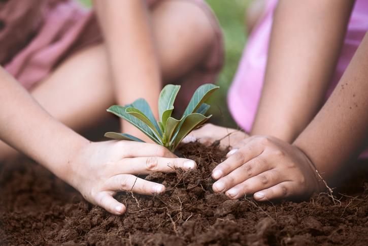children's hands planting
